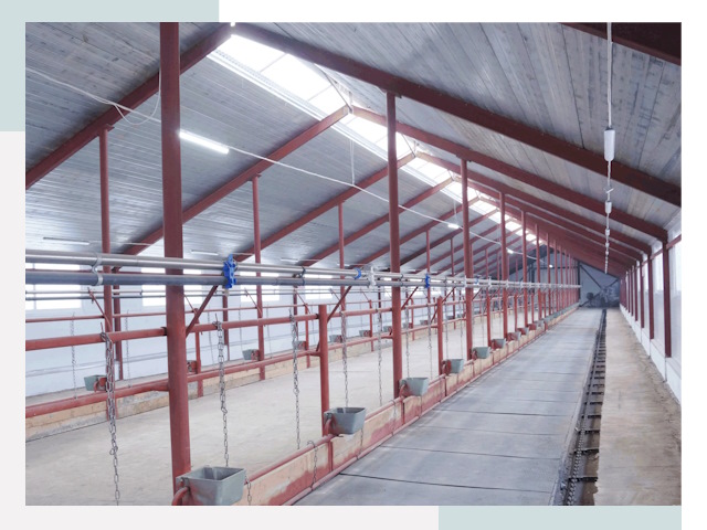 Строительство коровников в Ефремах от 615 руб.