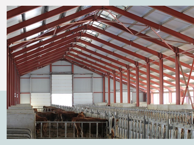 Строительство коровников в Ефремах