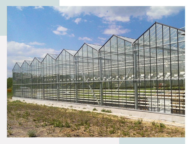 Строительство теплиц в Ефремов от 615 руб. за м²