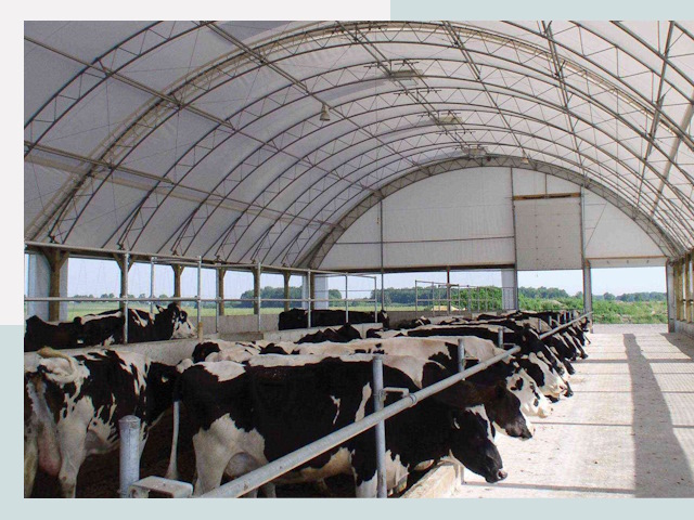 Тентовые коровники в Ефремах