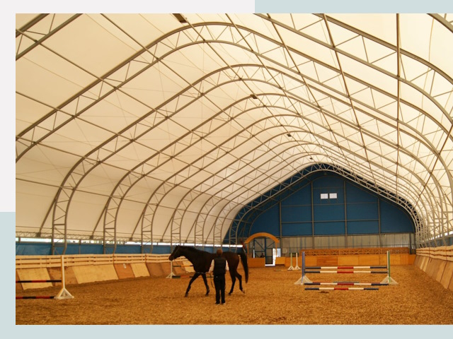 Строительство конных манежей в Ефремах